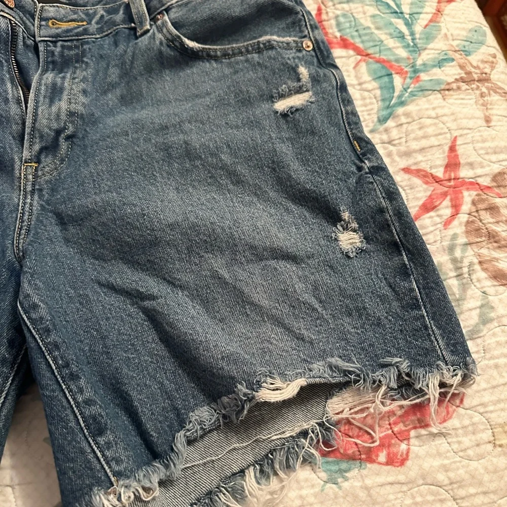 Express - Picture 6 of 6